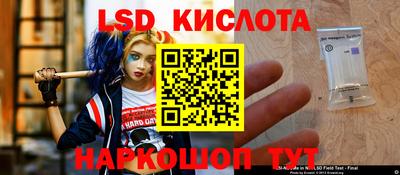 ГАЛЛЮЦИНОГЕННЫЕ ГРИБЫ Гусев